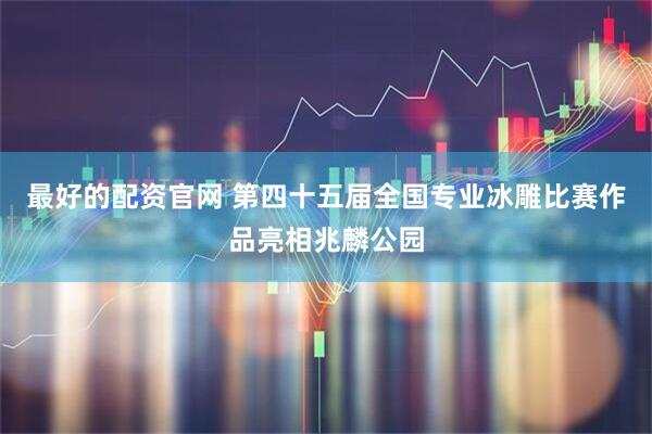 最好的配资官网 第四十五届全国专业冰雕比赛作品亮相兆麟公园